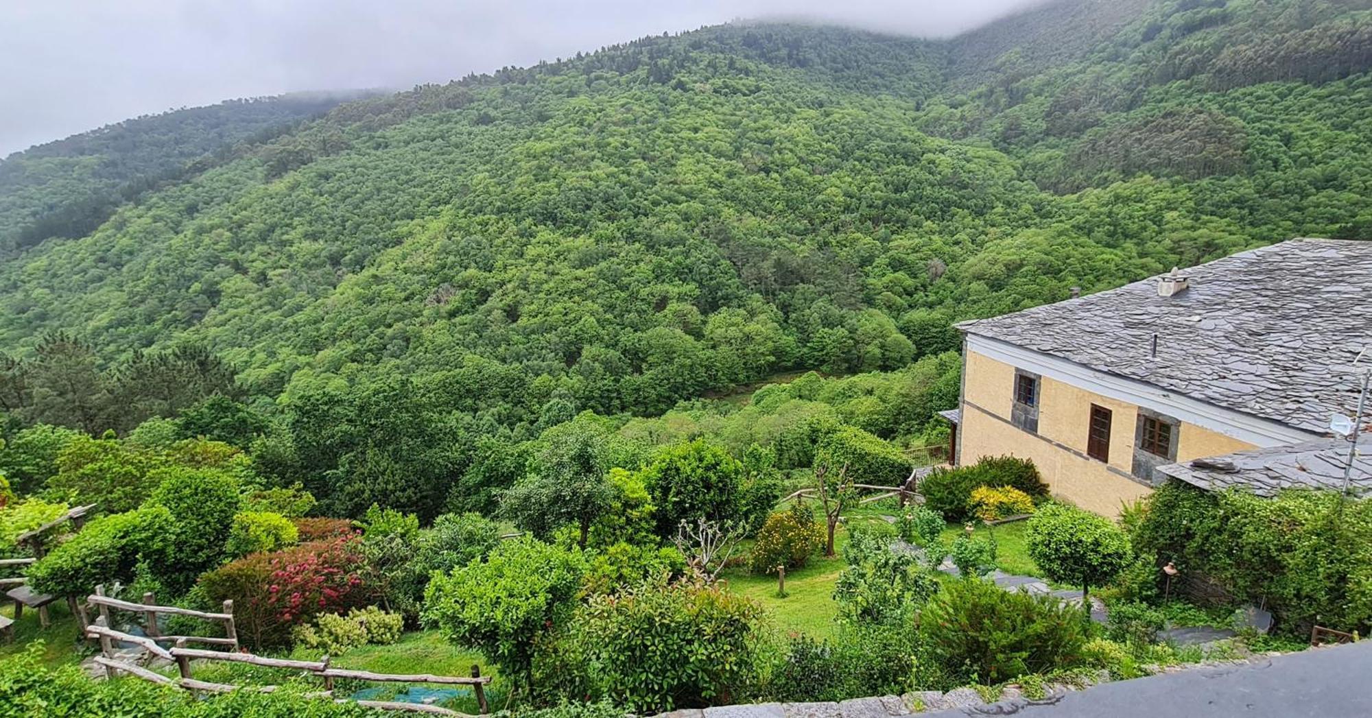 Apartamentos Rurales El Bosque De Las Vinas Boal Exterior foto